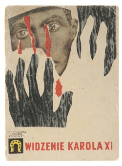 Widzenie karola.jpg
