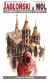 Miniatura wersji z 14:19, 22 maj 2012